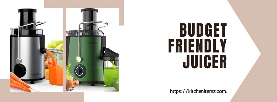 Your Comprehensive Guide to Buying a Budget-Friendly Juicer